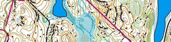 Jukolan Viesti 2025 (15.06.2025)